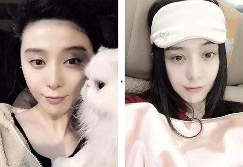 女明星吃瓜节目,吃瓜节目背后的真实故事