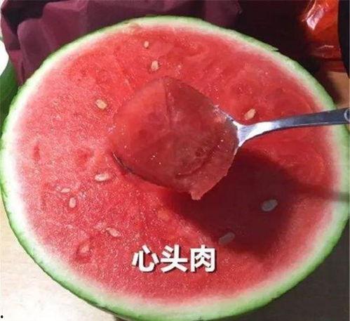 吃瓜的推荐理由,探寻美食背后的故事与魅力