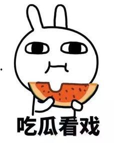 吃瓜捏噗,揭秘网络热词背后的趣味与内涵