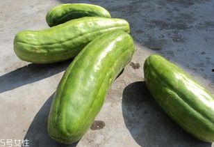 脆瓜可以直接吃吗怎么吃,轻松掌握脆瓜美味食用方法