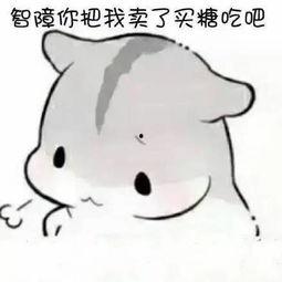 带你吃瓜仓鼠表情包,带你领略“带你吃瓜仓鼠”表情包的趣味魅力