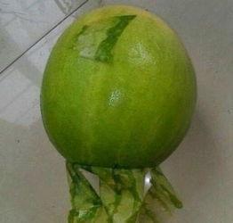 山东剥皮吃的瓜,剥皮即食的甜蜜诱惑
