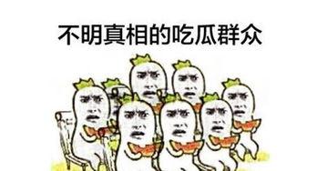 嗑瓜子吃瓜群众,揭秘网络时代的围观文化
