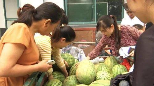 村里吃瓜的对象,村里吃瓜群众的热议焦点