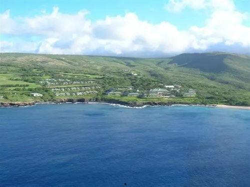 吃瓜甲骨文,揭秘古代生活趣味