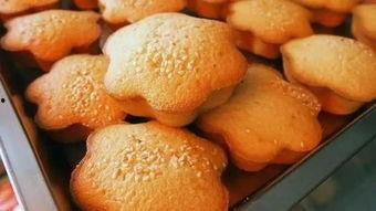 郑州情侣公园吃瓜,甜蜜瞬间与趣味互动集锦