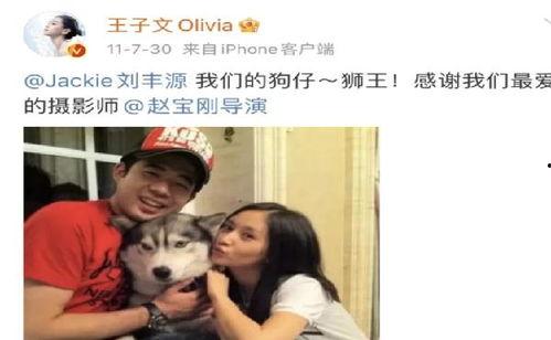 网友们直呼吃瓜,吃瓜群众狂欢，揭秘娱乐圈幕后真相