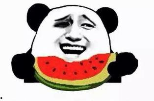 小狗吃瓜群众,揭秘网络时代的“吃瓜”现象