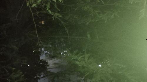 逆行者吃瓜,揭秘抗疫英雄的幕后故事