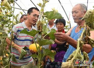 隆尧吃瓜事件,一场引发社会热议的网络狂欢
