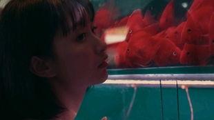 吃瓜少女被判刑,少女因网络言论被判刑，网络言论自由边界何在？