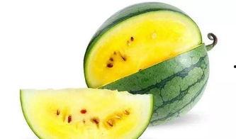 吃几个瓜最好,夏日清凉无限