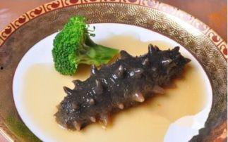 怎样吃海参怎样吃刺角瓜,海参与刺角瓜的养生搭配食谱