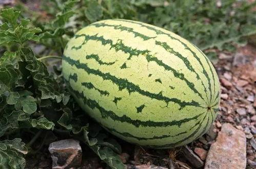 衡阳吃瓜墙,街头巷尾的民间舆论场