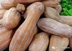 老柴吃大瓜,畅享夏日大瓜盛宴