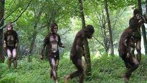 野人吃凉瓜,探寻原始风味中的凉瓜诱惑