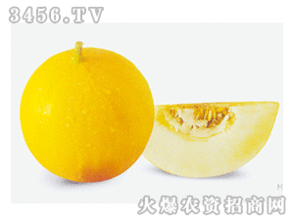 吃黄皮白肉瓜的好处,养生佳品，健康生活必备