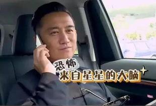 黄磊最新吃瓜事件,娱乐圈再掀波澜，真相究竟如何？