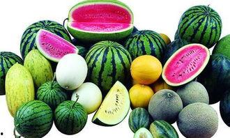 蓝瓷吃瓜后续,揭秘娱乐圈风云再起