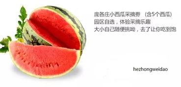 吃瓜新滋味,揭秘网红美食背后的故事