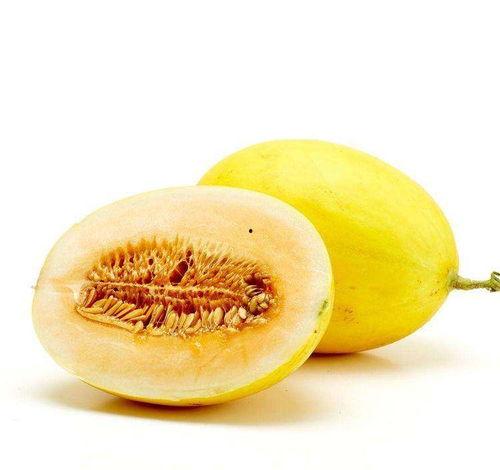 吃蜜瓜就排便,轻松享受健康排便体验