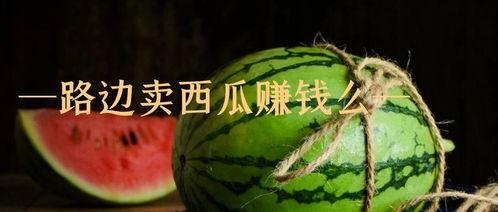 吃瓜卖瓜赚钱吗,揭秘网络时代如何通过瓜田致富