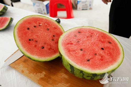 全国吃瓜排行,谁才是瓜界“吃瓜群众”之王？