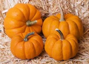 除了南瓜还有啥瓜可以吃,南瓜之外，这些瓜类同样美味可口