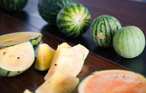 浙江吃瓜网络事件,揭秘背后真相与网络舆论风暴