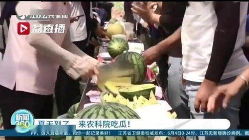 江苏吃瓜事件老师,一场校园风波引发的思考