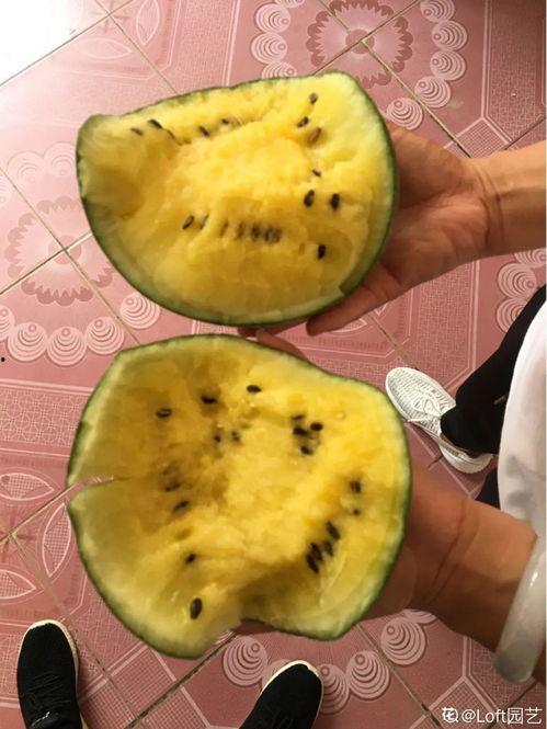 花密瓜晚上吃,甜蜜梦境的开启