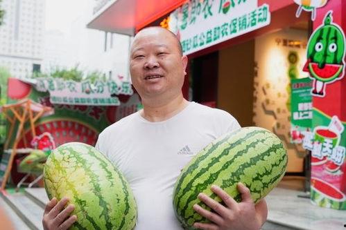 公益活动吃瓜,共享爱心盛宴