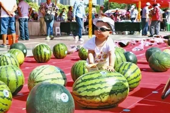 郑州沐龙泉吃瓜事件